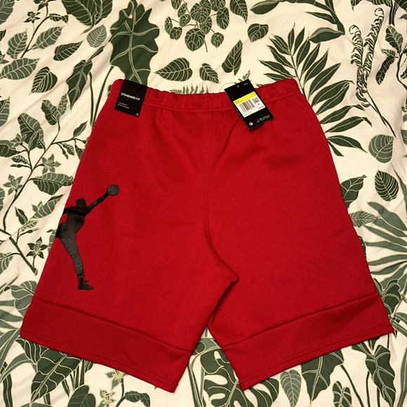 Brand New Men’s Nike Air Jordan Shorts Size Small - Picture 5 of 5